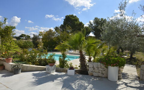 La Dimora di Diana: Arbusto, Shade, Giardino, Landscaping, Vaso Di Fiori, Flagstone, Cortile, Mobili Da Esterno, Design