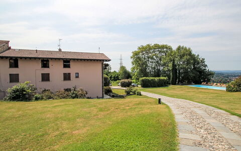 Annika: Erba, Lotto, Plain, Prato, Estate, Giardino, Landscaping, Prato, Cortile, Agriturismo