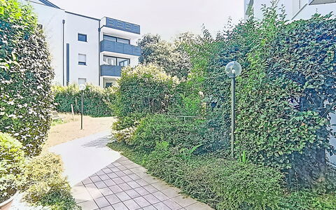 Monica: Arbusto, Zona Residenziale, Urban Design, Appartamento, Groundcover, Giardino, Hedge, Condominio, Shade, Sobborgo