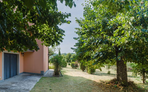 Gli Oleandri di Grazia: Foglia, Ramo, Arbusto, Giardino, Luce Del Sole, Shade, Prato, Landscaping, Driveway, Cortile