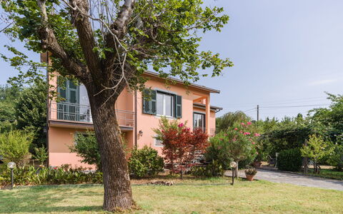 Gli Oleandri di Grazia: Zona Residenziale, Casa, Arbusto, Casa, Villetta, Giardino, Estate, Sobborgo, Cortile, Prato