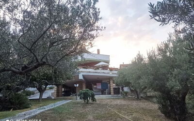 La Terrazza di Colle Marino