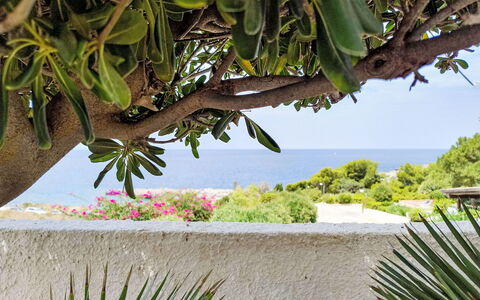 Cala Isulidda: Mare, Oceano, Costa, Tropici, Spiaggia, Caraibico