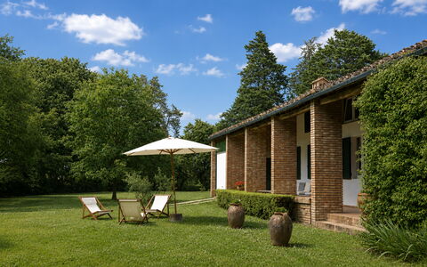 Casa Mancini, Holiday Villa, San Galgano: Erba, Arbusto, Casa, Casa, Giardino, Prato, Villetta, Lotto, Estate, Agriturismo