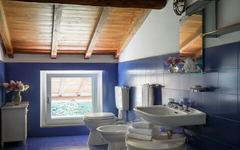 Casa Mancini, Holiday Villa, San Galgano: Idraulico Fixture, Bagno, Lavello, Lavandino Del Bagno, Interior Design, Pavimentazione, Rubinetto, Idraulico, Toilet Seat, Gabinetto