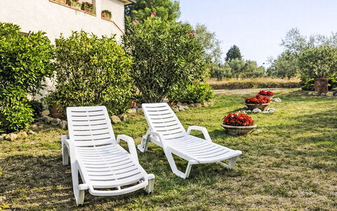 Il Mulinetto: Mobili Da Esterno, Mobilia, Lettino, Giardino, Prato, Sedia, Shade, Landscaping, Backyard, Cortile