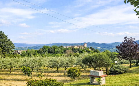 Il Mulinetto: Albero, Vegetazione, Pascolo, Arbusto, Paesaggio, Area Rurale, Lotto, Plain, Prato, Hill Station