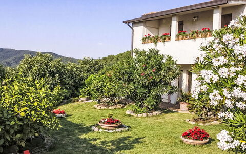 Il Mulinetto: Fiore, Arbusto, Giardino, Primavera, Prato, Landscaping, Cortile, Backyard, Giardino Botanico
