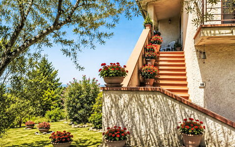 Il Mulinetto: Arbusto, Giardino, Vaso Di Fiori, Landscaping, Pianta Della Casa, Le Scale, Cortile, Design, Balcone