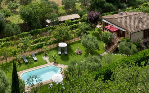 Villa Sorripa 6: Arbusto, Giardino, Villetta, Backyard, Estate, Landscaping, Agriturismo, Piantagione, Cortile, Prato