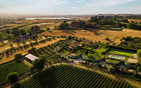 Poderina dei Poggi 12: Paesaggio, Lotto, Plain, Piantagione, Area Rurale, Campo, Giardino, Agricoltura, Visione Globale, Estate