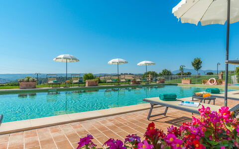 Poderina dei Poggi 12: Piscina, Ricorrere, Resort Citta ', Piantagione, Agricoltura, Eco Hotel, Immagini
