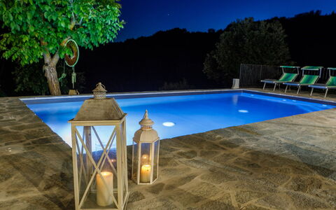 Villa Mia 6: Piscina, Materiale Composito, Vaso Di Fiori, Mobili Da Esterno, Ricorrere, Flagstone, Giochi D'Acqua, Pianta Della Casa, Landscaping, Shade