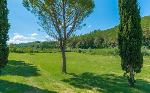 La Casa Dell'Artista 6: Verde, Foglia, Erba, Ambiente Naturale, Natura, Vegetazione, Paesaggio Naturale, Pascolo, Arbusto, Paesaggio