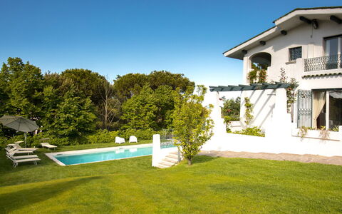 Villa Sarah 10+2: Erba, Zona Residenziale, Casa, Casa, Architettura, Arbusto, Giardino, Estate, Piscina