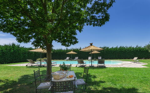 Villa Augusto 10: Mobili Da Esterno, Piscina, Giardino, Prato, Shade, Landscaping, Tavolo Esterno, Ricorrere, Cortile, Backyard