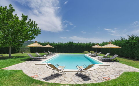 Villa Augusto 10: Piscina, Mobili Da Esterno, Giardino, Ricorrere, Landscaping, Shade, Prato, Lettino, Sedia, Eco Hotel