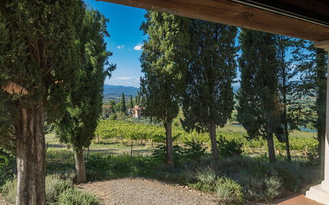 Villalta 18+2: Foglia, Vegetazione, Arbusto, Giardino, Landscaping, Sempreverde, Piantagione, Pine Famiglia
