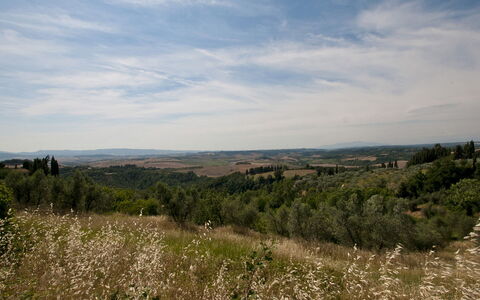 Frantusa 6+2: Verde, Ambiente Naturale, Vegetazione, Paesaggio Naturale, Ecoregione, Pascolo, Orizzonte, Comunita 'Impianto, Paesaggio, Collina