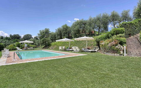 Germagnana 12+2: Arbusto, Giardino, Groundcover, Estate, Prato, Piantagione, Agriturismo, Landscaping, Villa, Hacienda