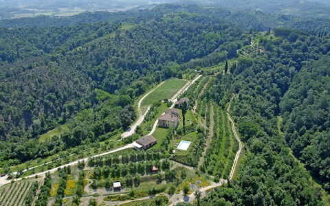 Germagnana 12+2: Ambiente Naturale, Paesaggio, Visione Globale, Highland, Hill Station, Piantagione, Area Rurale, Foresta, Fotografia Aerea, Campo