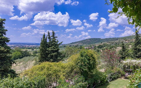 I Mandorli 8: Albero, Natura, Foglia, Vegetazione, Arbusto, Paesaggio, Comunita 'Impianto, Collina, Highland, Hill Station