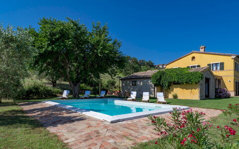 Casale Verdicchio 10+2: Estate, Villetta, Piscina, Agriturismo, Hacienda, Villa, Prato, Landscaping, Eco Hotel, Cortile