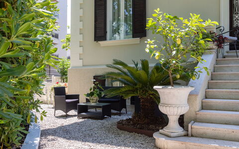 Villa Corona 8: Arbusto, Giardino, Vaso Di Fiori, Shade, Landscaping, Pianta Della Casa, Cortile, Cortile