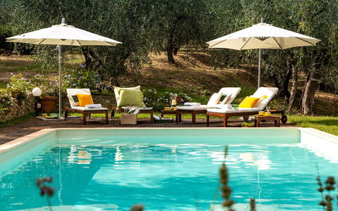 Villa Il Colle di Moriano 8: Piscina, Mobili Da Esterno, Ricorrere, Lettino, Mobilia, Ombrello, Eco Hotel, Giardino, Sedia, Shade