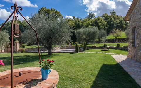 La Villetta di Dante 6: Giardino, Arbusto, Backyard, Landscaping, Prato, Cortile, Shade, Brick, Flagstone, Hacienda