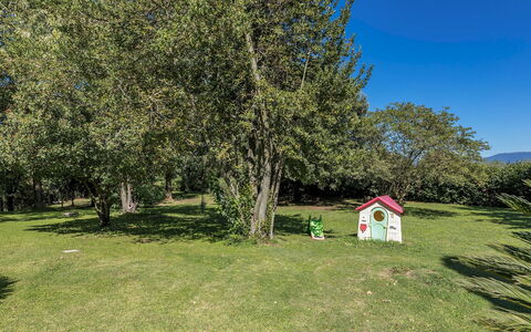 Villa Rasena 6: Albero, Erba, Pascolo, Prato, Giardino, Prato, Pascolo, Parco, Shade, Landscaping