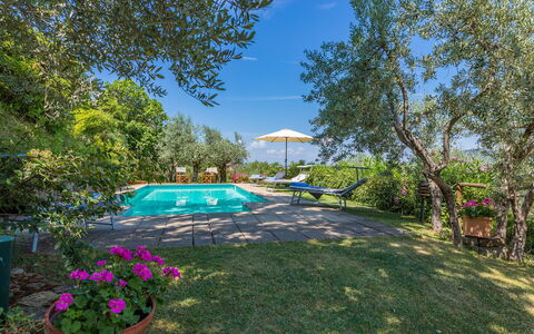 Casa del Sole 4: Blu, Arbusto, Giardino, Landscaping, Estate, Cortile, Backyard, Eco Hotel, Prato