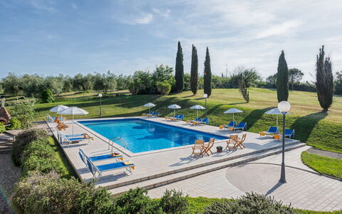 Villa Croci 12: Blu, Piscina, Mobili Da Esterno, Ricorrere, Estate, Lettino, Giardino, Landscaping, Villa, Hotel