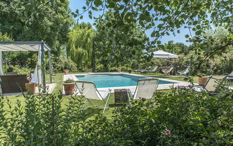 Albachiara 8: Arbusto, Mobili Da Esterno, Piscina, Giardino, Shade, Landscaping, Backyard, Tempo Libero, Sedia, Ricorrere