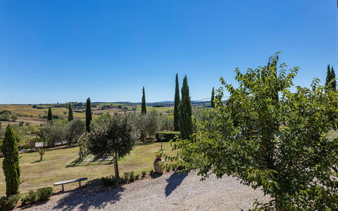 Il Fitto 10: Arbusto, Paesaggio, Lotto, Landscaping, Brick, Mobili Da Esterno