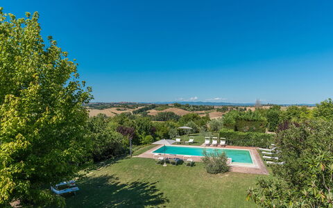 Finestra su Siena 16: Blu, Albero, Ambiente Naturale, Paesaggio, Plain, Pascolo, Lotto, Area Rurale, Prato, Prato