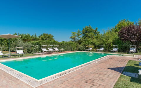 Finestra su Siena 16: Piscina, Ricorrere, Giardino, Estate, Terme, Landscaping, Eco Hotel, Hacienda, Shade, Mobili Da Esterno