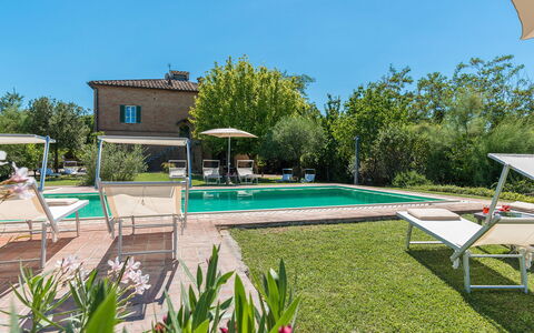 Finestra su Siena 16: Piscina, Mobili Da Esterno, Giardino, Ricorrere, Backyard, Estate, Lettino, Landscaping, Cortile, Sedia