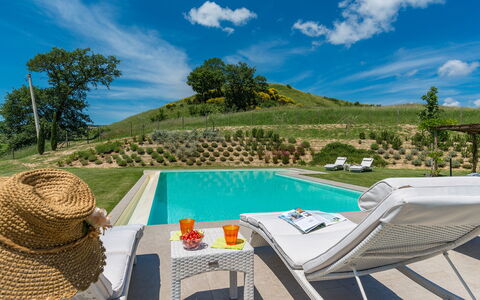 Rosa dei Venti 8: Paesaggio Naturale, Piscina, Collina, Paesaggio, Lotto, Mobili Da Esterno, Tempo Libero, Giardino, Lettino, Landscaping
