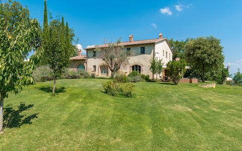 San Francesco 12: Erba, Pascolo, Plain, Lotto, Area Rurale, Prato, Pascolo, Estate, Prato, Giardino