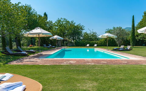 San Francesco 12: Blu, Piscina, Giardino, Estate, Landscaping, Prato, Eco Hotel, Ricorrere, Piantagione, Hacienda