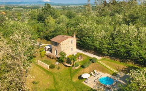 Ai Due Cuori 4: Albero, Erba, Arbusto, Casa, Paesaggio, Area Rurale, Lotto, Villetta, Casa, Estate