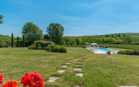 Alborata 10: Arbusto, Pascolo, Plain, Lotto, Giardino, Prato, Prato, Piantagione, Landscaping, Pascolo