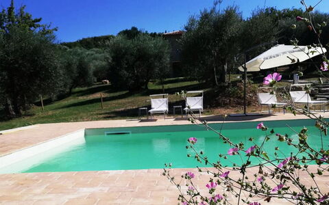 Amandula 6: Piscina, Ricorrere, Estate, Giardino, Hacienda, Landscaping, Backyard, Cortile, Villa, Agriturismo