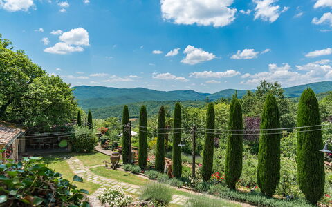 Borgo Paradiso 4+2: Verde, Natura, Vegetazione, Paesaggio Naturale, Collina, Paesaggio, Arbusto, Highland, Comunita 'Impianto, Hill Station