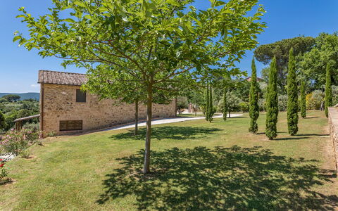 Bossoncina 8+1: Foglia, Giardino, Primavera, Shade, Woody Impianto, Landscaping, Prato, Backyard, Cortile, Passerella
