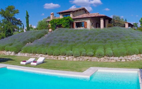Casale delle Lavande 10: Arbusto, Giardino, Landscaping, Piscina, Sempreverde, Backyard, Cortile, Piantagione, Ricorrere