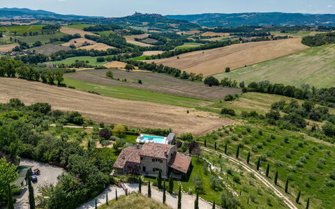 Casale dei Gelsomini 8: Area Rurale, Paesaggio, Lotto, Plain, Piantagione, Campo, Visione Globale, Estate, Villaggio, Villetta