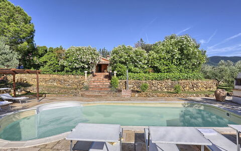 Virginia 8: Piscina, Ricorrere, Mobili Da Esterno, Backyard, Hacienda, Eco Hotel, Giardino, Estate, Shade, Landscaping