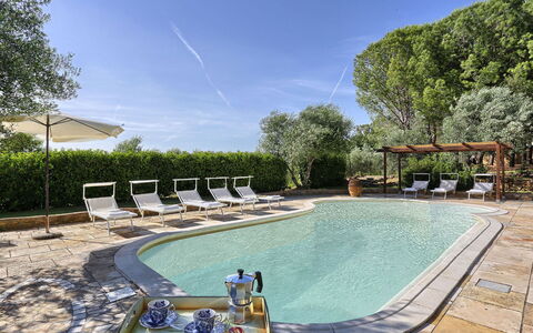 Virginia 8: Piscina, Mobili Da Esterno, Mobilia, Ricorrere, Shade, Sedia, Lettino, Eco Hotel, Ombrello, Giardino